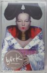 Bjork - Homogenic - 8819