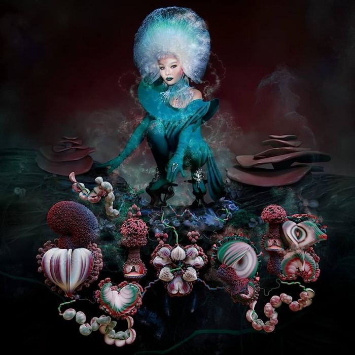 Bjork - Fossora - 8821