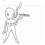 Tortoise - TNT - 10668