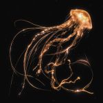 Royal Blood - Back To The Water Below - 10726