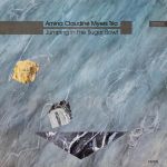 Amina Claudine Myers Trio - Jumping In The Sugar Bowl - 10973