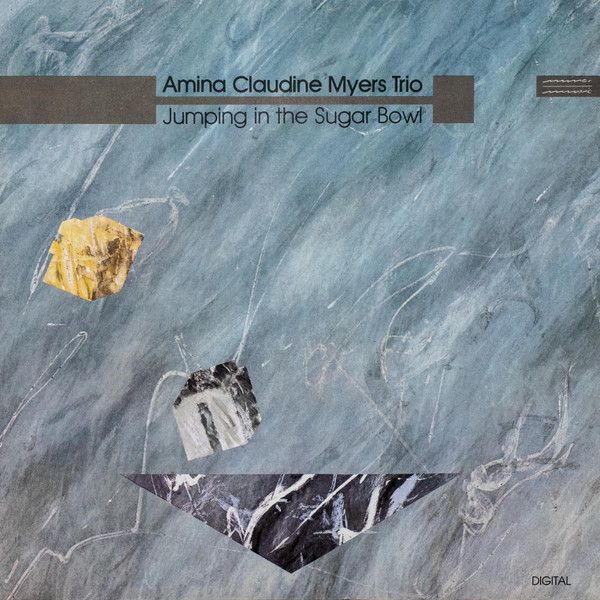 Amina Claudine Myers Trio - Jumping In The Sugar Bowl - 10973
