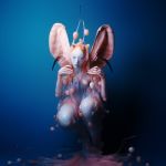 Nina Eba - Morpho - 11204