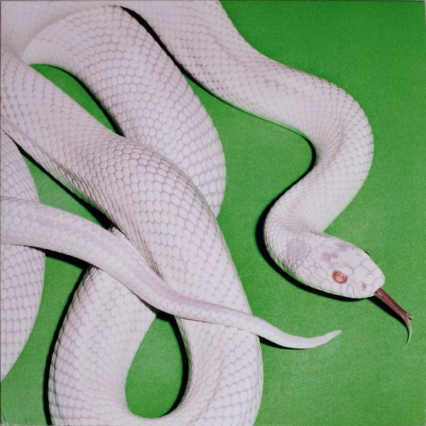 Deftones - Private Music - 13498